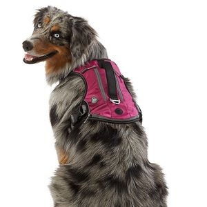 Expandable Backpack Harness